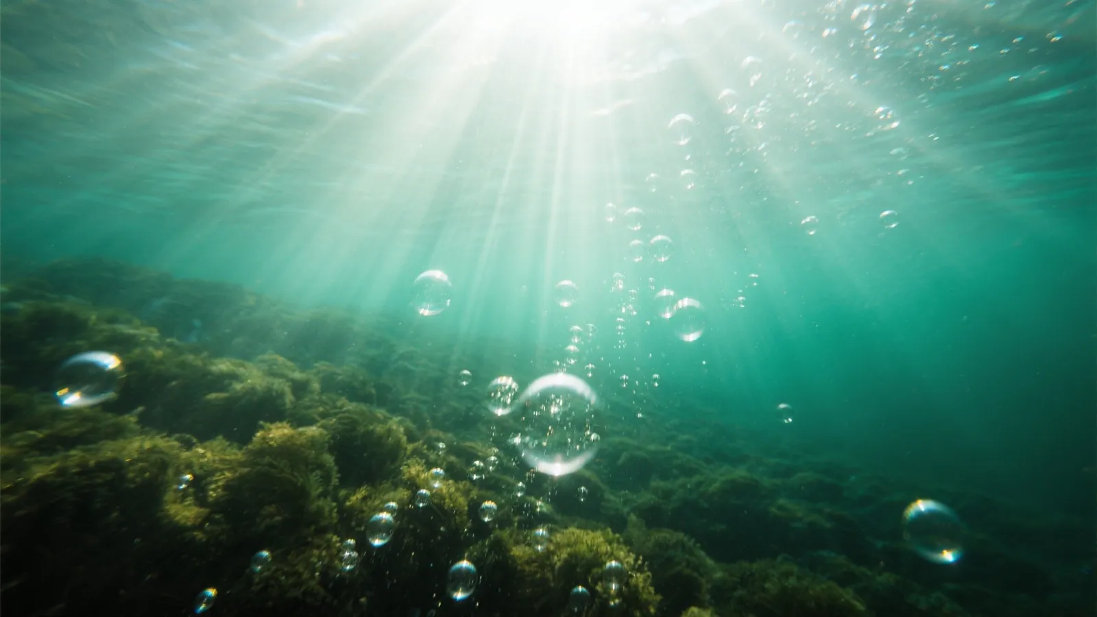 Underwater ambient background